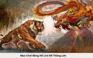 Mẹo Chơi Rồng Hổ Live Để Thắng Lớn