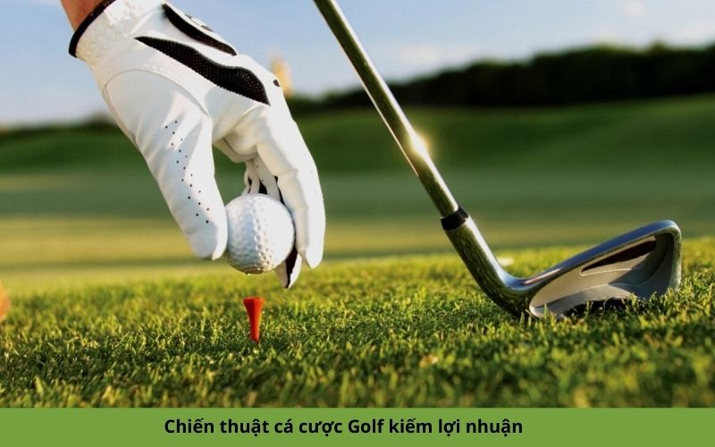 Chiến thuật cá cược Golf kiếm lợi nhuận