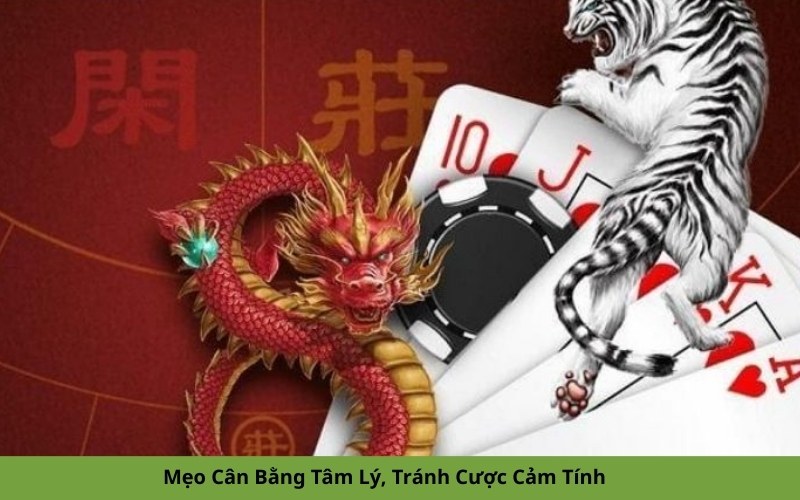 Mẹo Cân Bằng Tâm Lý, Tránh Cược Cảm Tính