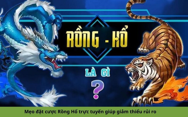 Mẹo đặt cược Rồng Hổ trực tuyến giúp giảm thiểu rủi ro