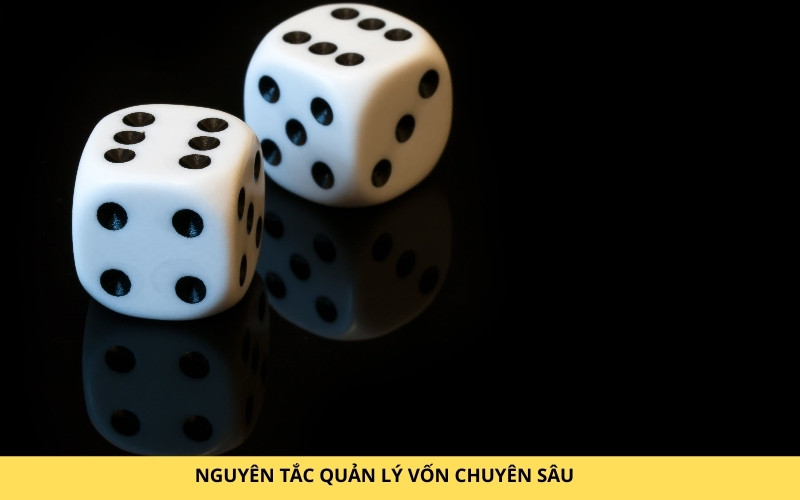 NGUYÊN TẮC QUẢN LÝ VỐN CHUYÊN SÂU khi cược nhiều cửa