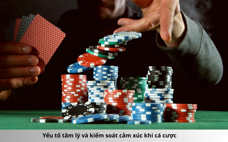 Yếu tố tâm lý và kiểm soát cảm xúc khi cá cược